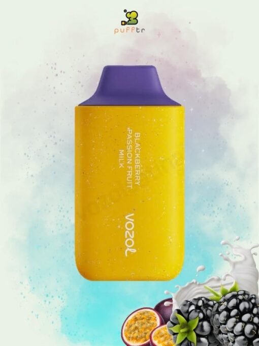 VOZOL-STAR-6000-DISPOSABLE-BLACKBERRY-PASSION-FRUIT-MILK