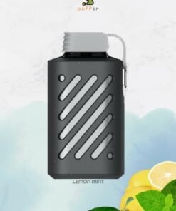 vozol-gear-10000-lemon-mint