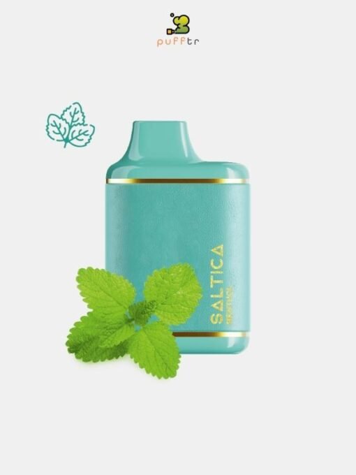 saltica-leather-7000-puff-menthol-zero