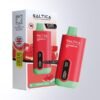 saltica-dijital-10000-puff