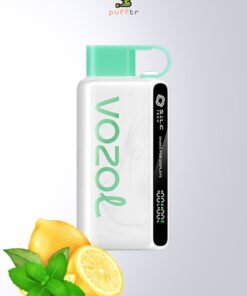 Vozol-Star-12000-Lemon-Mint