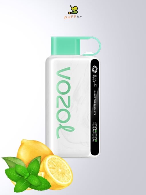 Vozol-Star-12000-Lemon-Mint