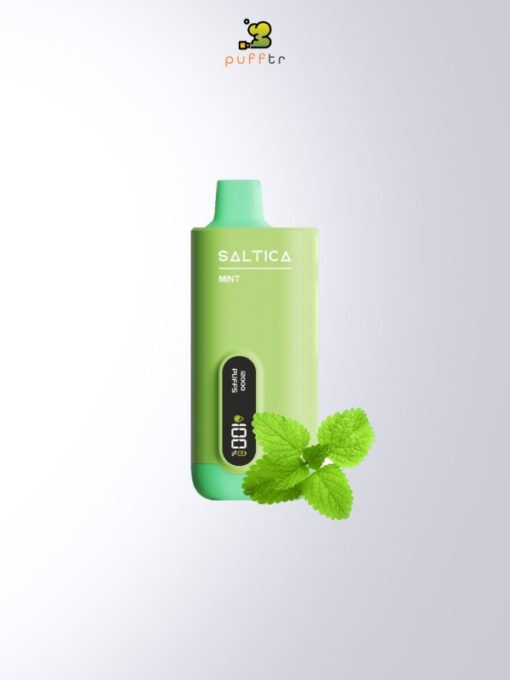 Saltica-Digital-12000-Mint