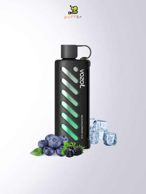 Vozol-Gear-Shisha-25000-Puff-Blackcurrant-Ice