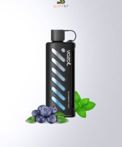 Vozol-Gear-Shisha-25000-Puff-Blueberry-Mint