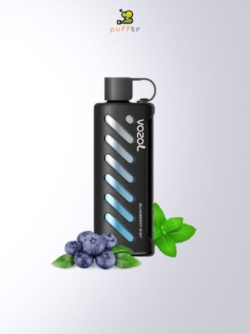 Vozol-Gear-Shisha-25000-Puff-Blueberry-Mint