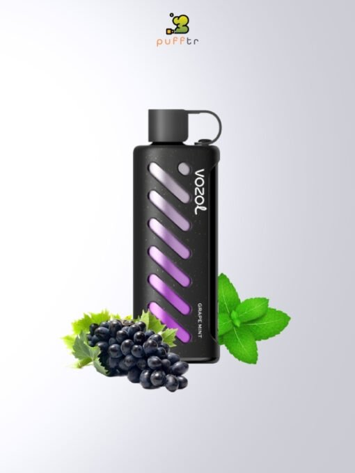 Vozol-Gear-Shisha-25000-Puff-Grape-Mint
